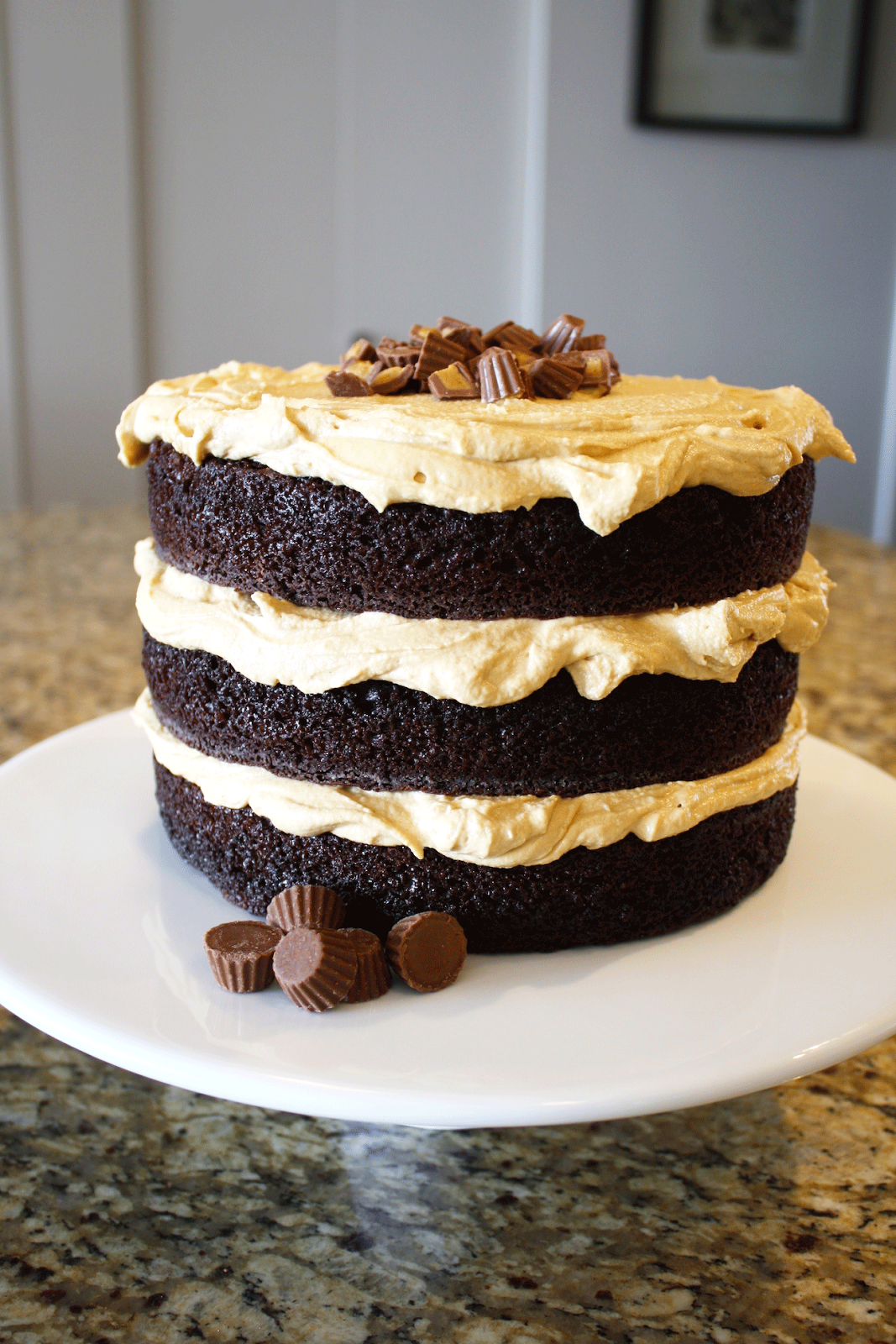 A chocolate cake on a plate